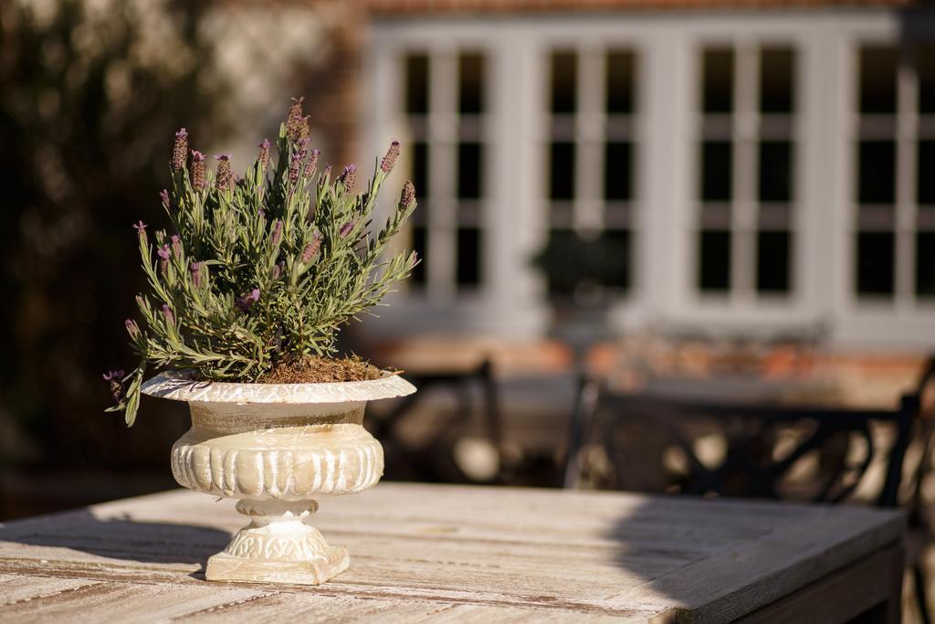 The White Hart, South Harting Hotel Petersfield Exterior photo