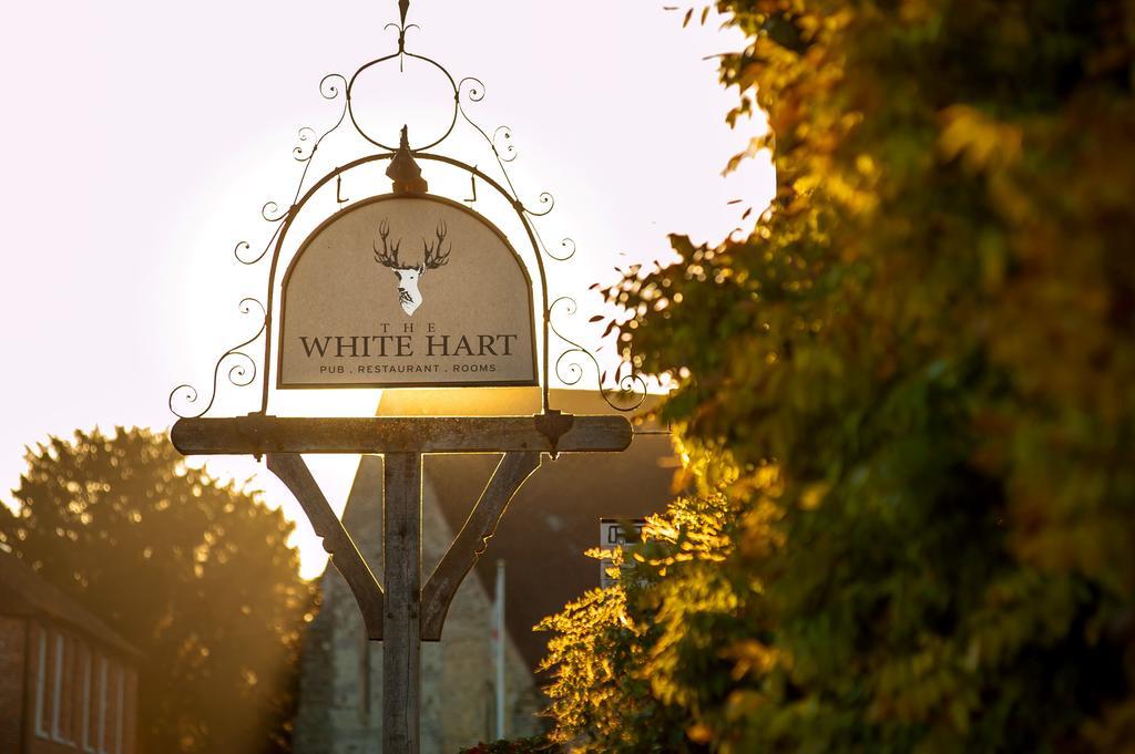 The White Hart, South Harting Hotel Petersfield Exterior photo